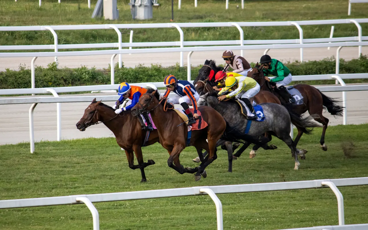 Horse Race