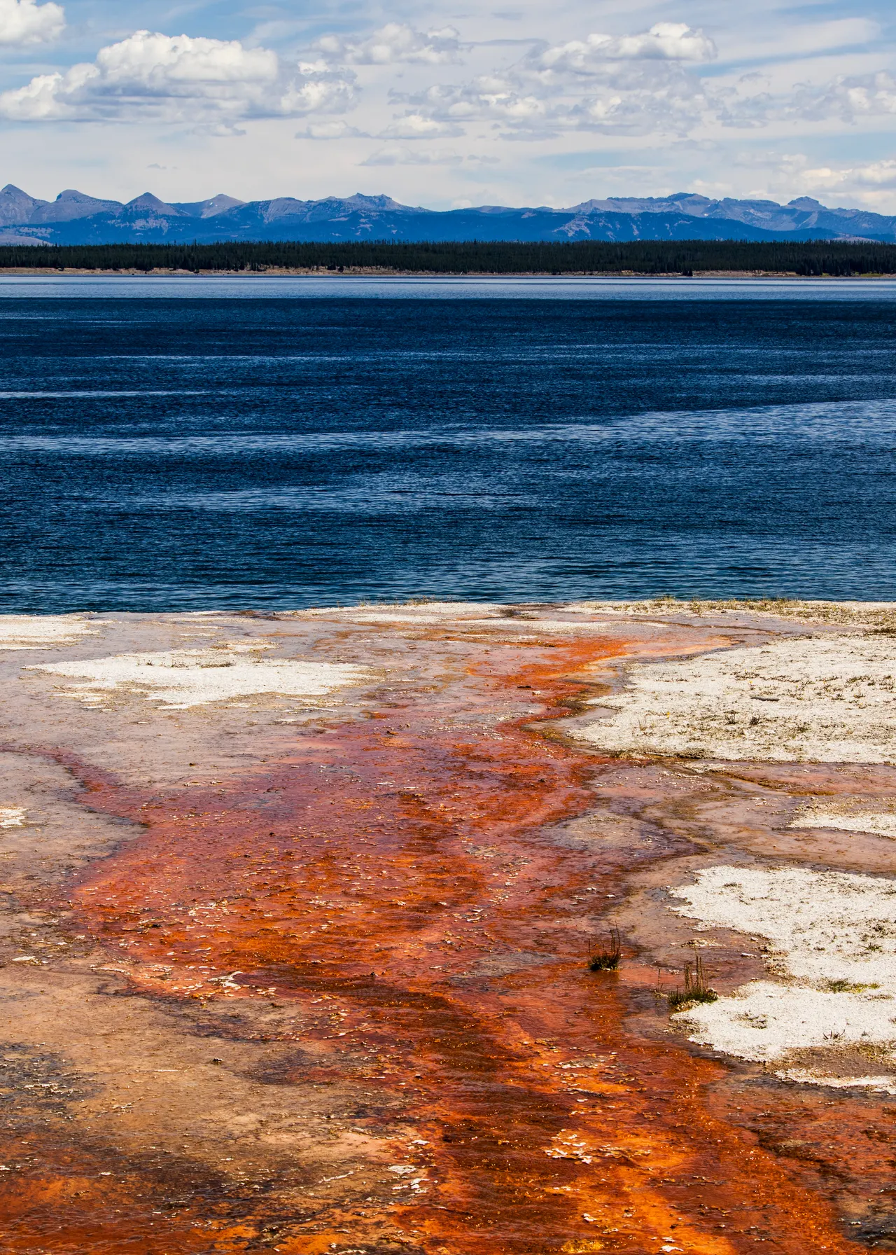 Red Substance
