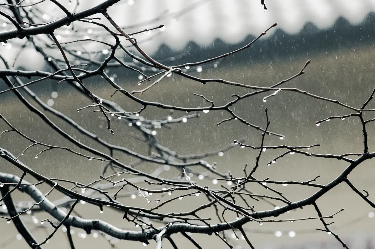 Rain