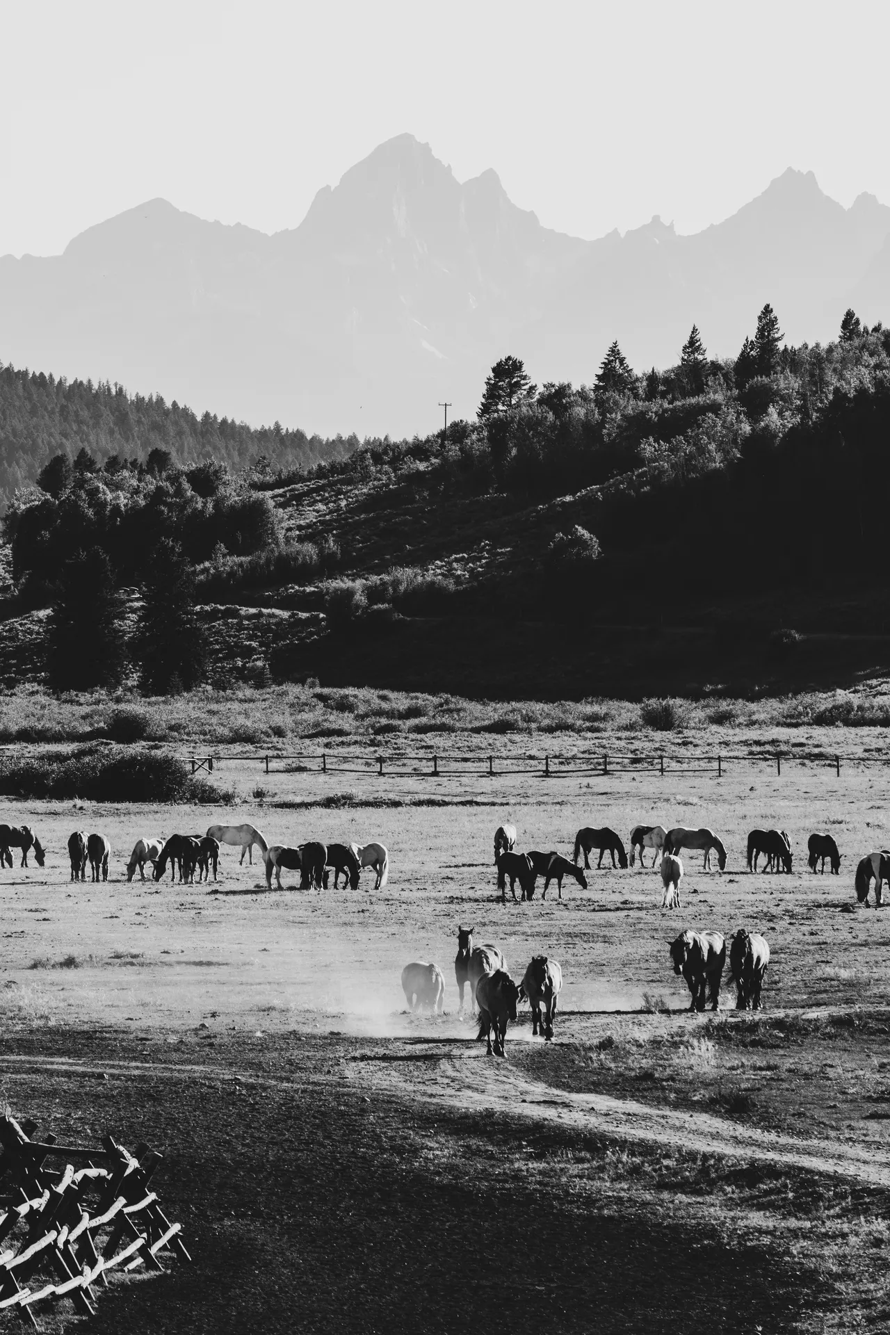 Old west