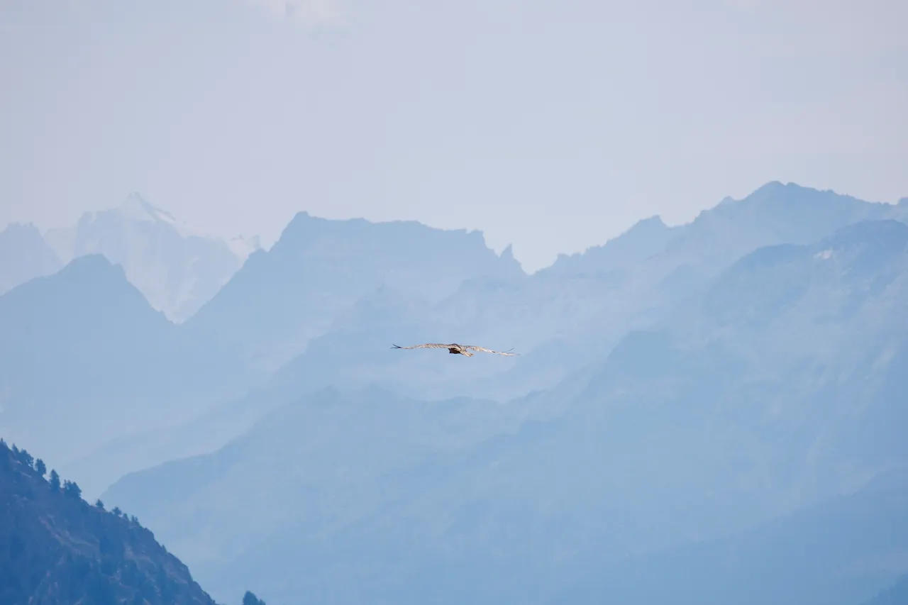 High flying
