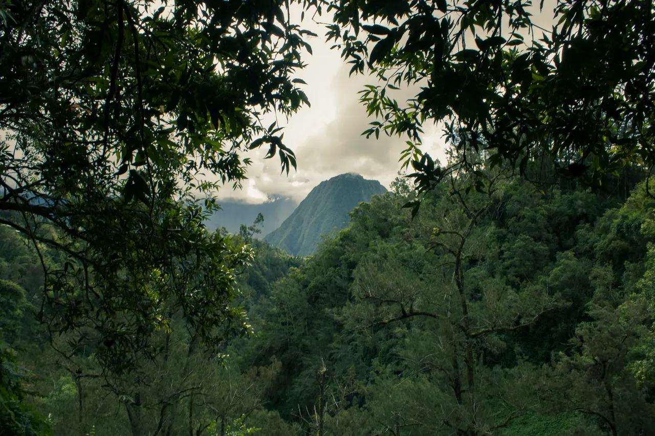 Lost World